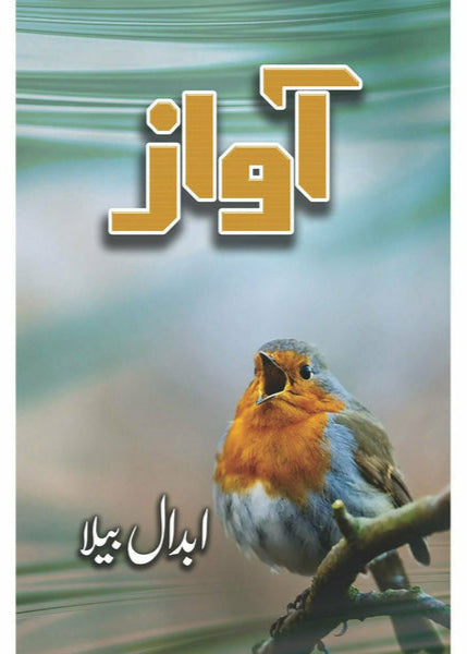 Awaz - Abdaal Bela By Abdaal Bela