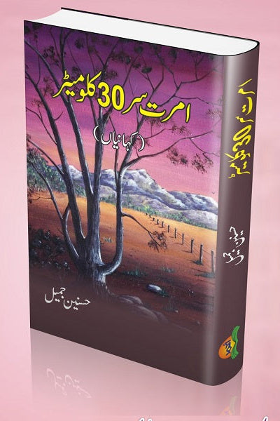 Amratsar-30 kilometer
امرتسر- 30کلومیٹر by Author
حسنین جمیل