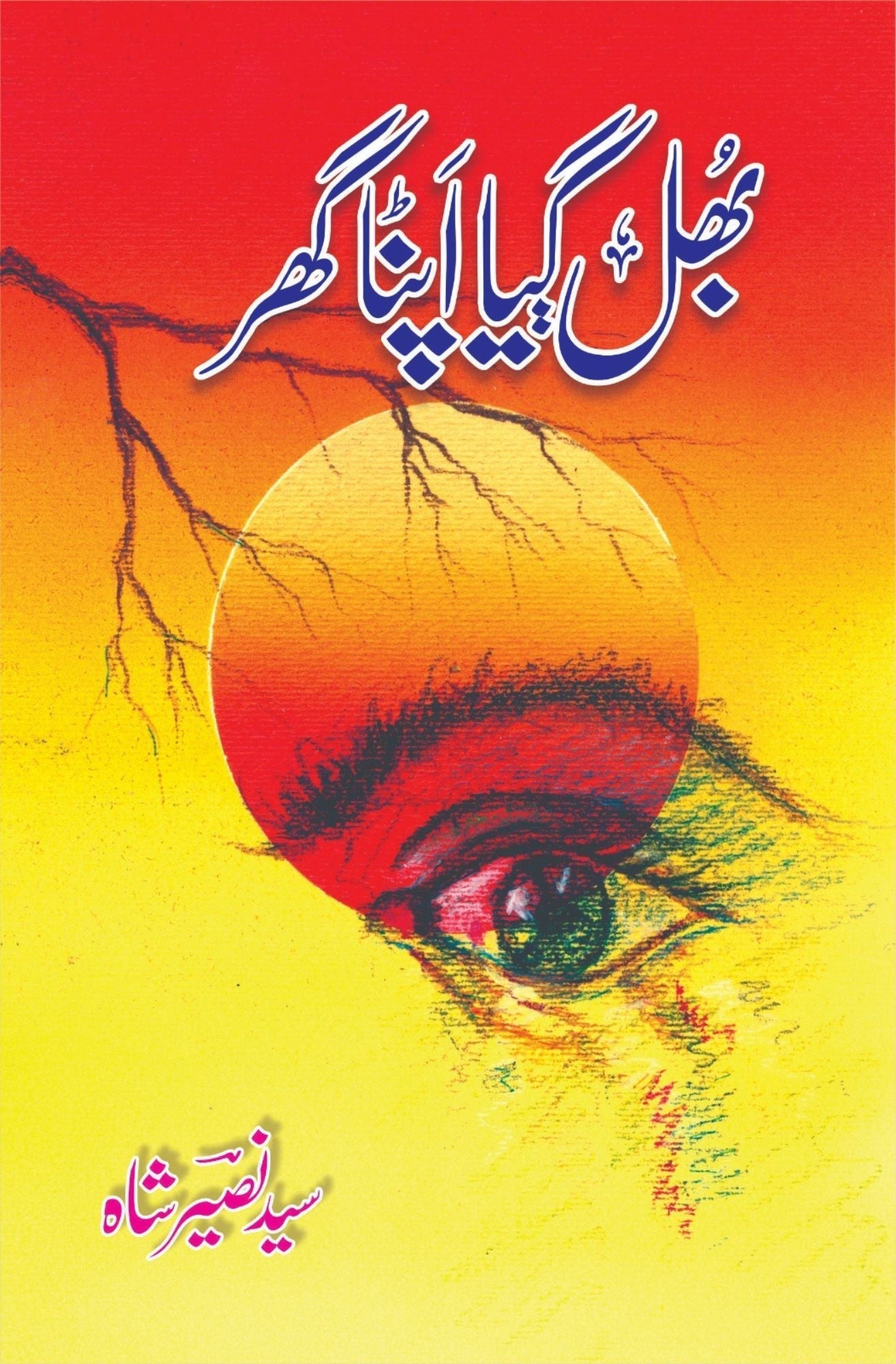 بھل گیا اپنا گھر | سید نصیر شاہ | Bhul Gya Apna Ghr | Syed Nasir Shah