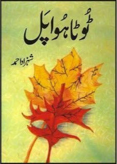 Toota Howa Pal By Shehzad Ahmad