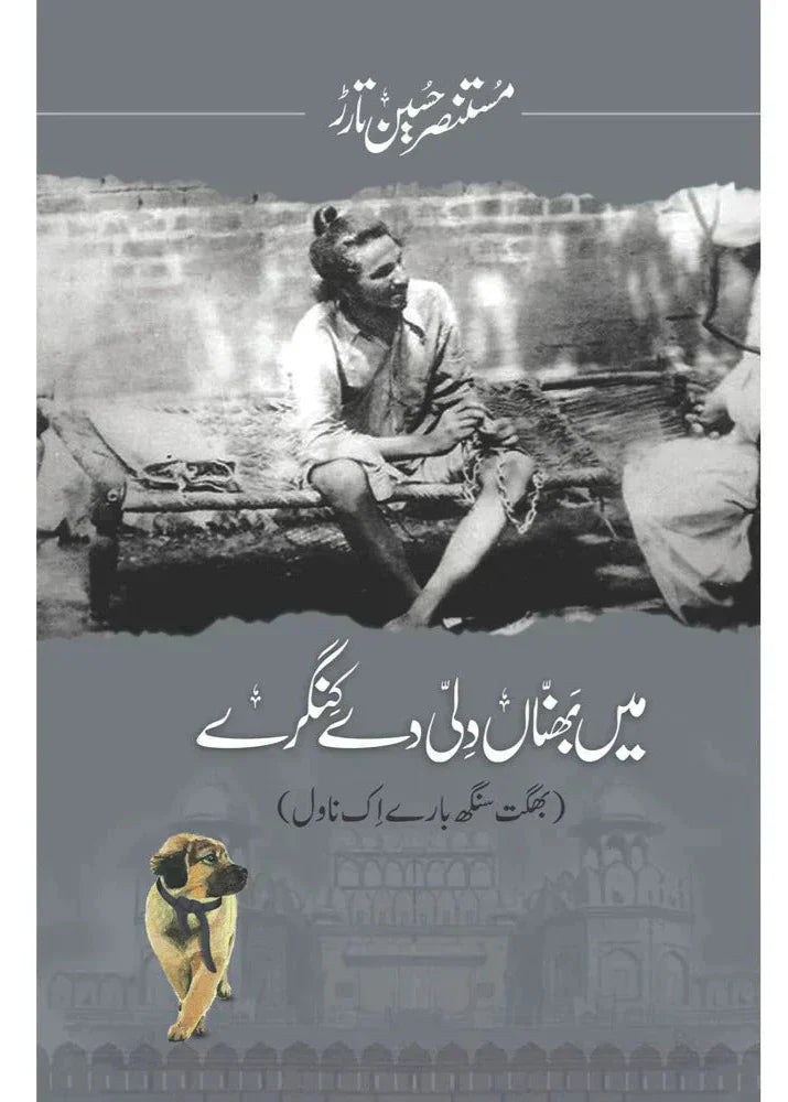 Mein BhannaN Dilli De Kingray / Mustansar Hussain Tarar