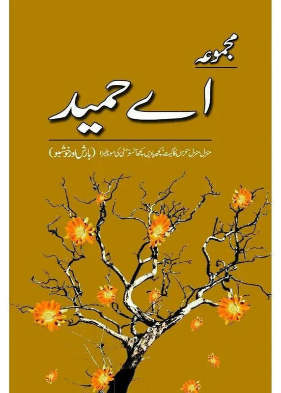 Majmua A Hameed: Manzil Manzil - مجموعہ اے حمید