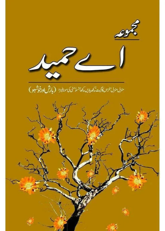 Majmua A Hameed: Manzil Manzil - مجموعہ اے حمید